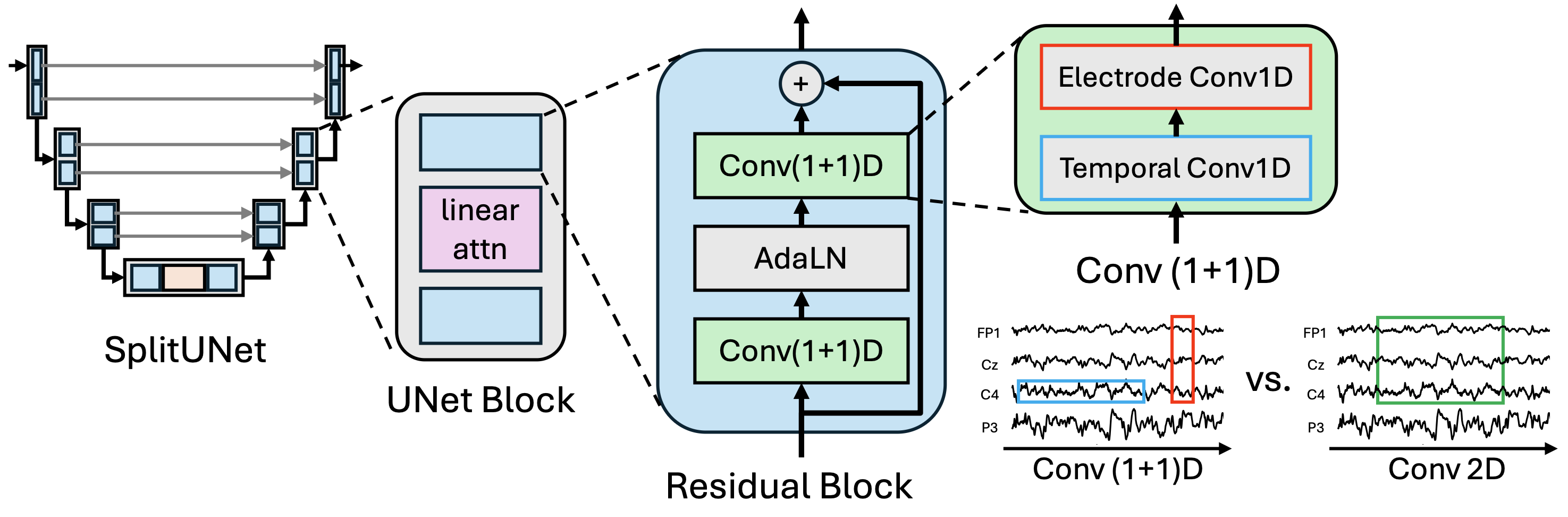 SplitUNet architecture: encoder stages halving only time, a self-attention bottleneck, a mirrored decoder, and the Conv(1+1)D operator.